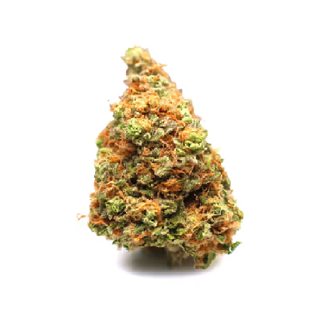 Flower - Dosijo